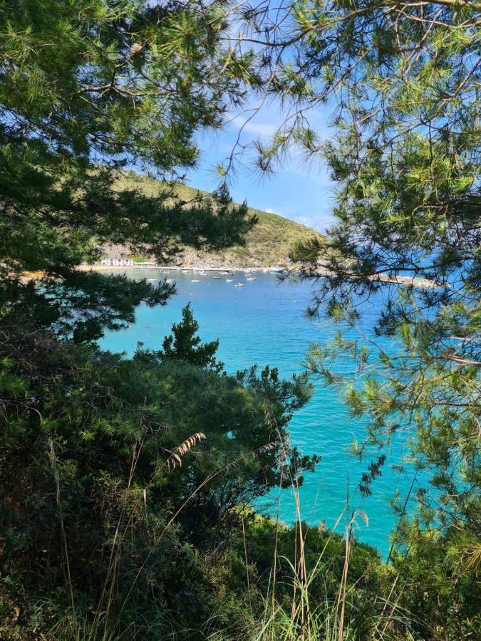 B&B La Marinella Palinuro Eksteriør bilde