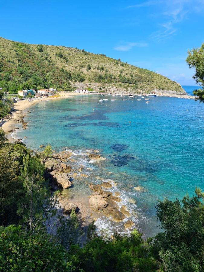 B&B La Marinella Palinuro Eksteriør bilde