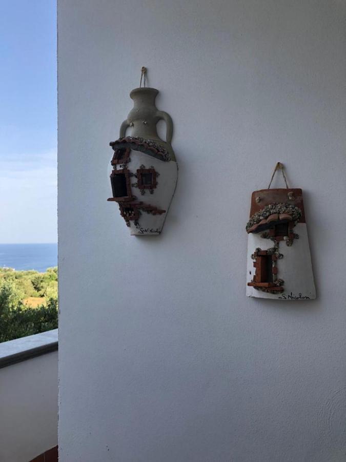B&B La Marinella Palinuro Eksteriør bilde